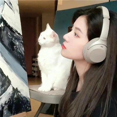 系海报
